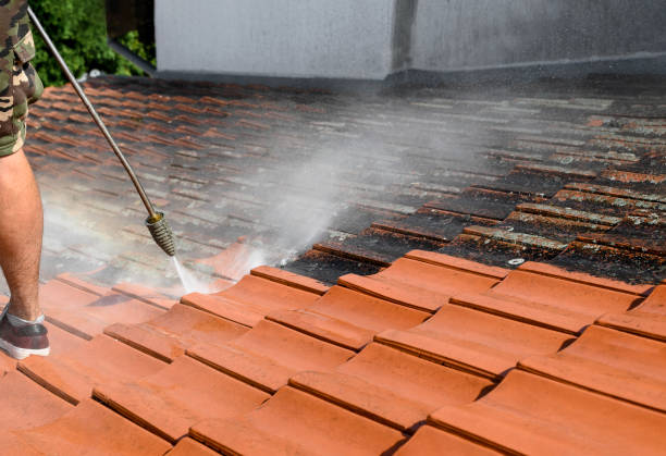 Best Deck Pressure Washing  in Morris, AL