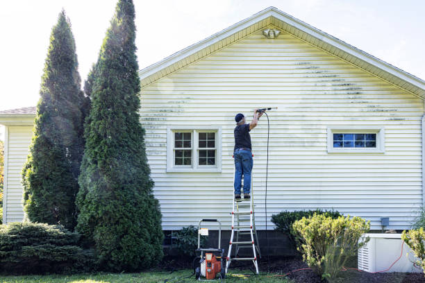 Best Affordable Pressure Washing  in Morris, AL